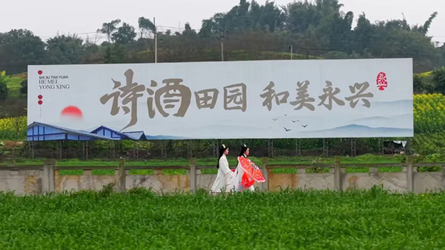 来江阳,赏花!(图21) 21.jpg