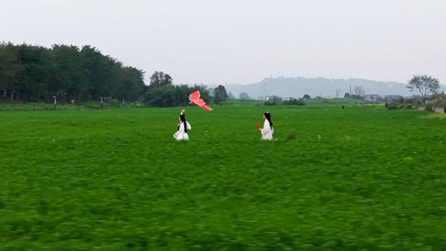 来江阳,赏花!(图22) 22.jpg