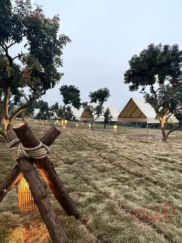 来江阳,赏花!(图26) 26.jpg