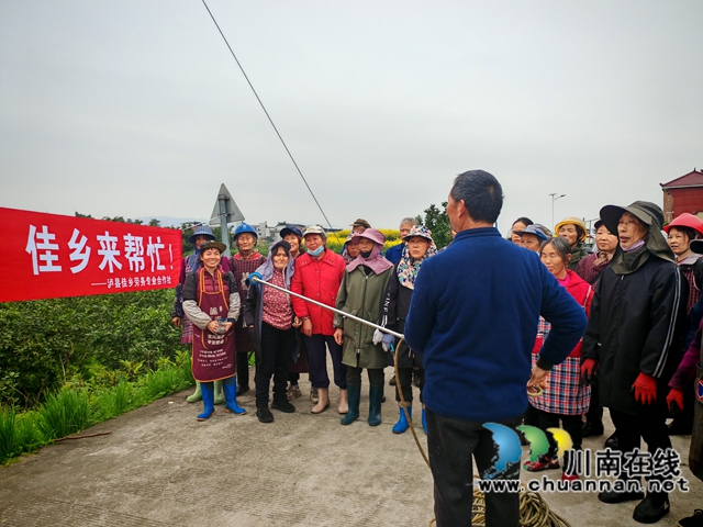 3月13日，泸县佳乡劳务专合社劳务经纪人彭丽邀请嘉明镇农技人员到泸县金明农业发展专业合作社柠檬基地开展果树病虫害防治培训。.jpg