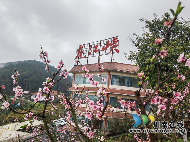 绿海涌潮河　诗韵龙江峡｜泸县潮河镇：龙江峡桃花诗会撬动花经济