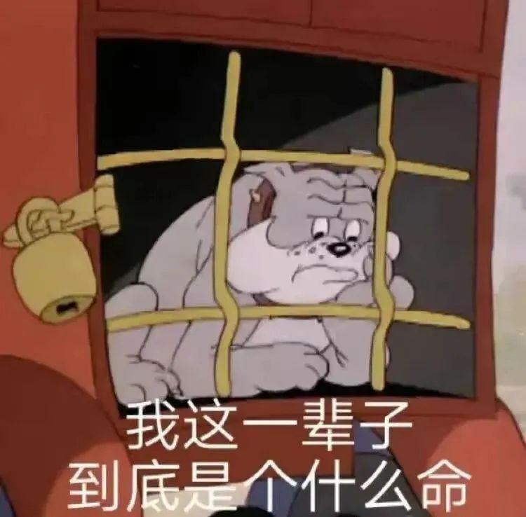 命１.jpg