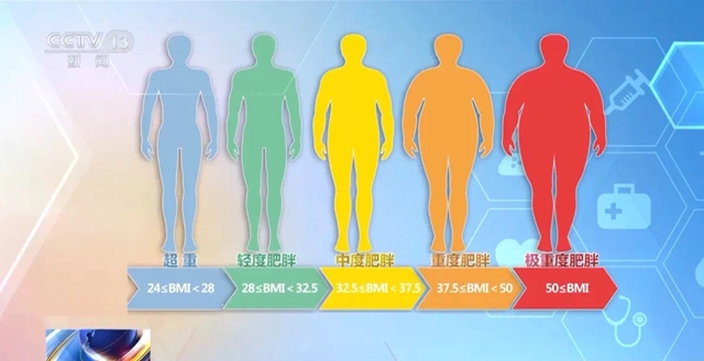 【体重管理】春季不减肥，四季徒伤悲！科学减肥该怎么吃?