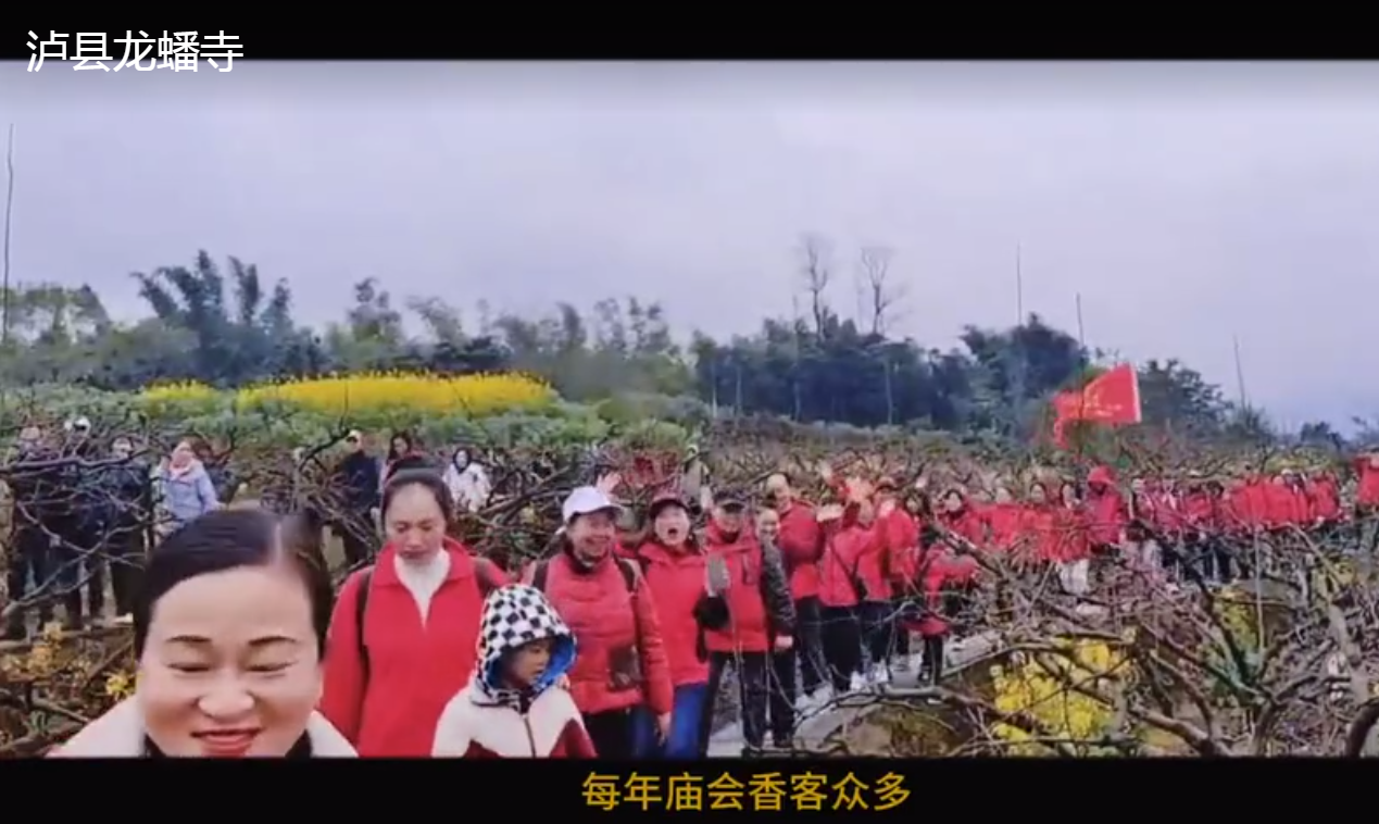 龙蟠寺赋