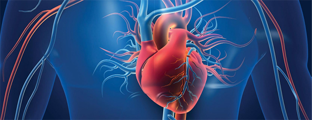 您有一份人体氘耗竭的终极指南,请查收→(图6) 6.jpg