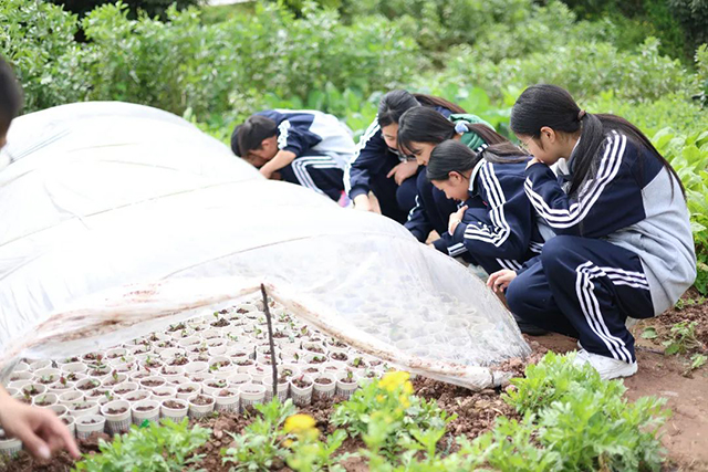 一校一景 | 泸县福集镇龙脑桥学校的学生在这里感受春天(图2) 2.jpg