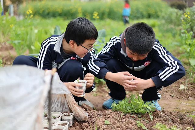 一校一景 | 泸县福集镇龙脑桥学校的学生在这里感受春天(图3) 3.jpg