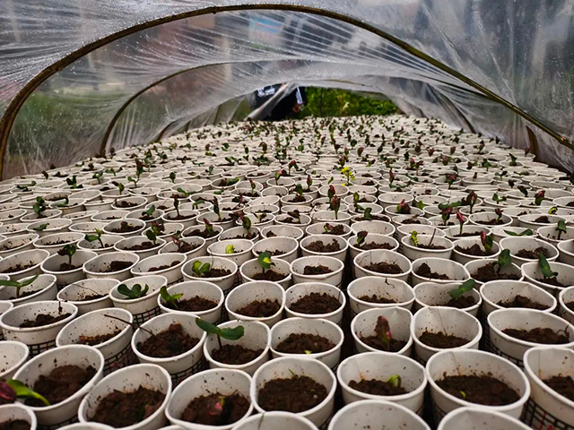 一校一景 | 泸县福集镇龙脑桥学校的学生在这里感受春天(图5) 5.jpg