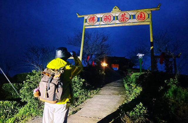 “N人看纳溪”:这群人一起走进茶山,都干了啥?(图2) 2.jpg