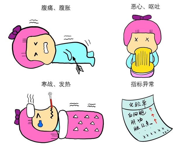 【警惕】晚饭后腹部剧痛不止,胆囊被嘎掉,有这些情况要当心!(图4) 胆4.jpg