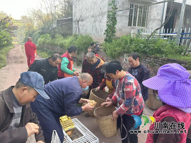 微信图片_20250326103507.jpg