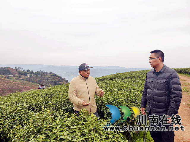 纳溪区护国镇大学生村支书游飞：“三板斧”劈出美丽新村新通道