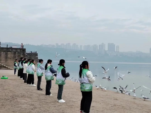 再见红嘴鸥丨春日作别,静候冬日重逢的诗行(图5) 5.jpg