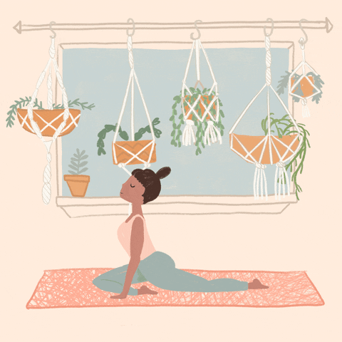 4.gif