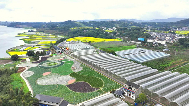 答应我，周末纳溪这场活动你一定要来！