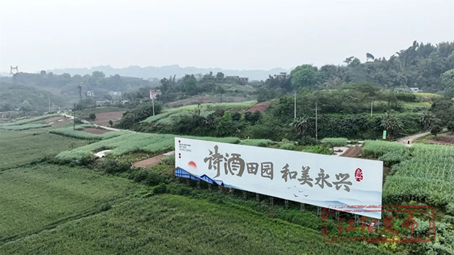 640-(16).jpg