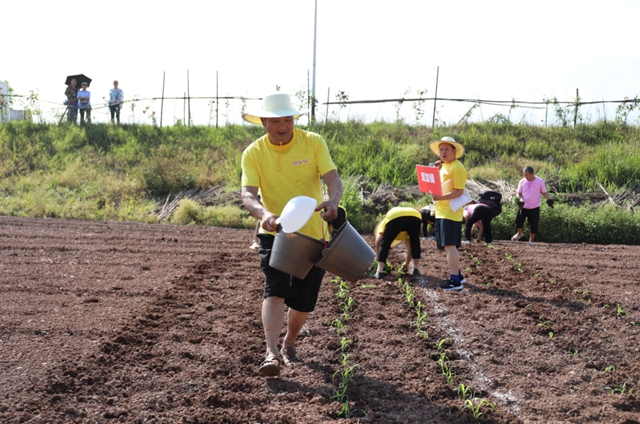 龙马潭区胡市镇:“开秧门”了!(图11) 11.jpg