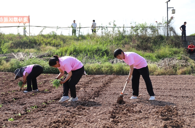 龙马潭区胡市镇:“开秧门”了!(图10) 10.jpg