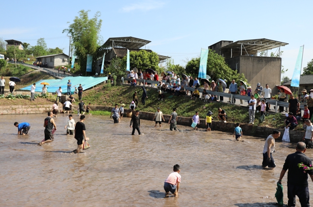 龙马潭区胡市镇:“开秧门”了!(图15) 15.jpg