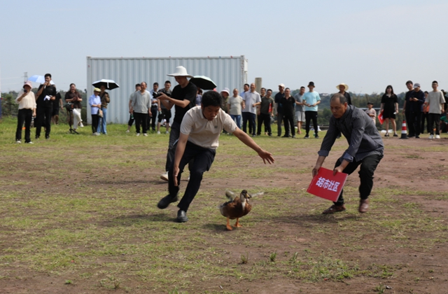 龙马潭区胡市镇:“开秧门”了!(图14) 14.jpg