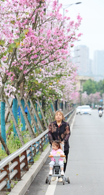龙马潭区这处千米粉色花廊!错过等一年(图4) 4.jpg