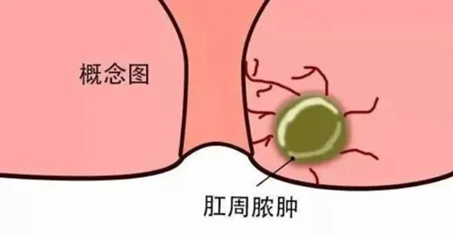 蜂蜜浏览器_6401.jpg