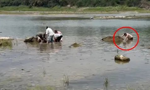 母子双双落水，泸州市民周登位两次跃入江中成功救人