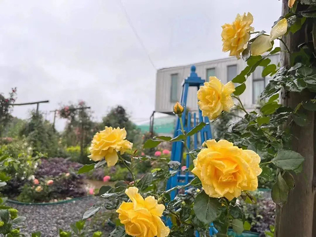 天府她风采丨庭院女主人故事展播·泸州篇(图18) 18.jpg