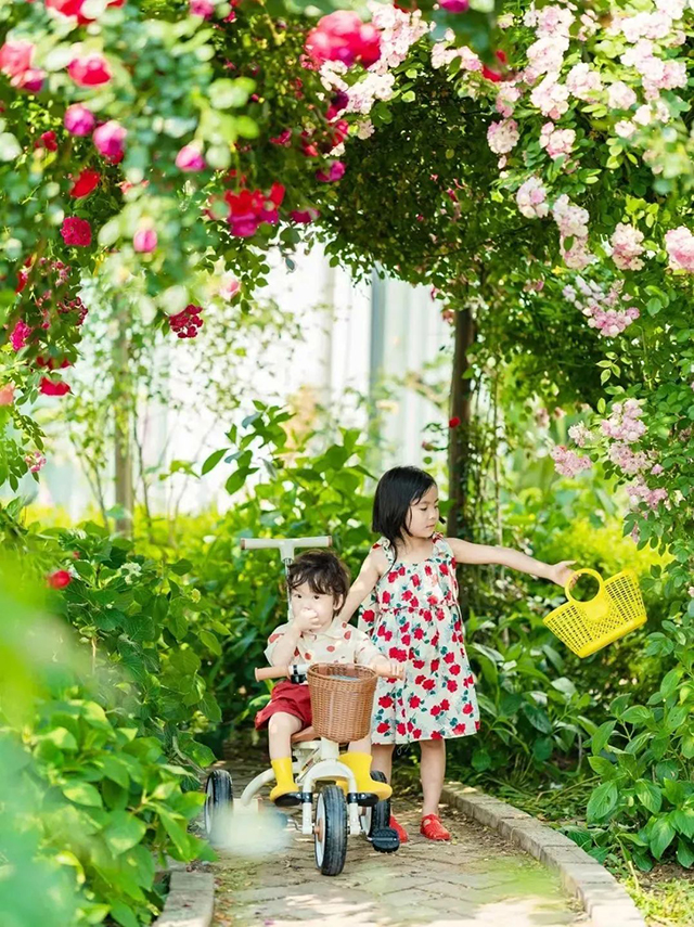 天府她风采丨庭院女主人故事展播·泸州篇(图20) 20.jpg