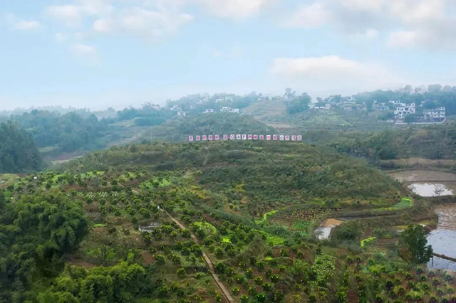 天府她风采丨庭院女主人故事展播·泸州篇(图23) 23.jpg