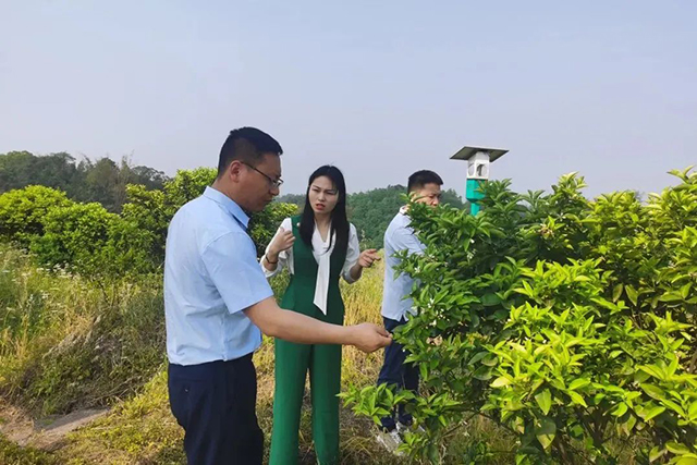 天府她风采丨庭院女主人故事展播·泸州篇(图22) 22.jpg