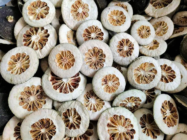 天府她风采丨庭院女主人故事展播·泸州篇(图24) 24.jpg