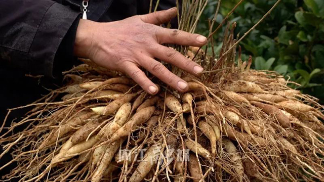 内江，连续三年居全省第一