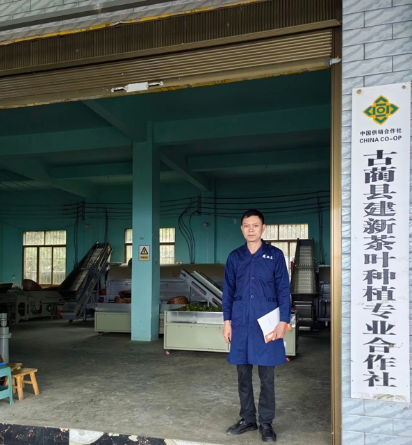 古蔺茶山守艺人吴兴杰:以新阶之智淬炼非遗茶香,用劳模之志激活千年茶脉(图3) 吴3.jpg