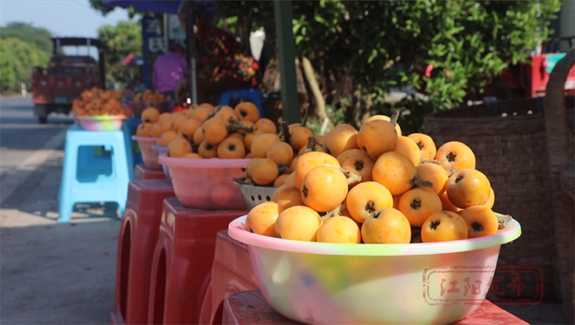 甜~甜~甜!这里枇杷管够→(图3) 3.jpg