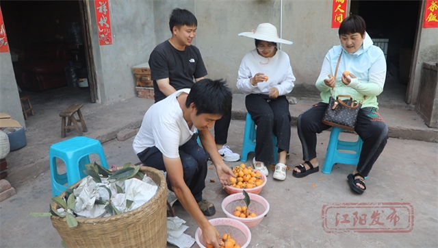 甜~甜~甜!这里枇杷管够→(图7) 7.jpg