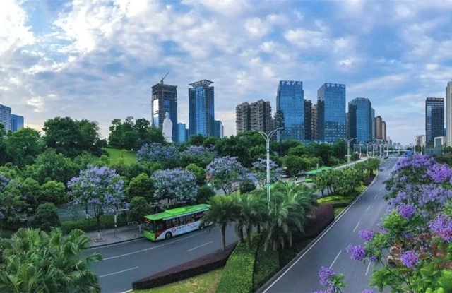 泸州27处绿波路段，带你感受美丽幸福城市道路！