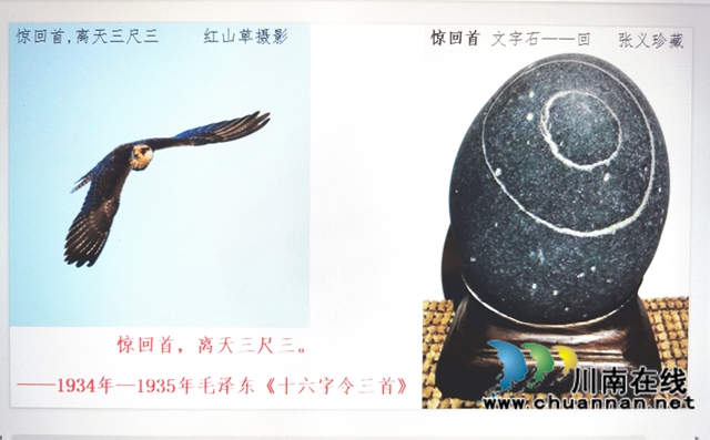 长江石解读长征诗意——张义“长征主题书画赏石活动”记(图14) 14.jpg