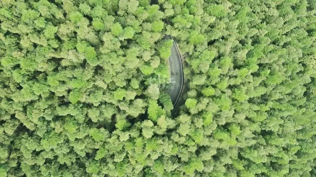 本周末去正好!泸州这3条旅游线路带你开启清凉奇遇(图13) 64005.jpg