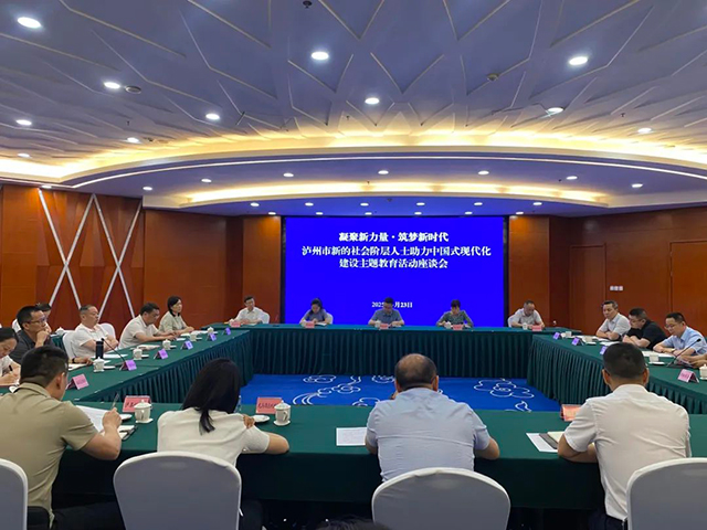 泸州市召开新的社会阶层人士主题教育活动座谈会