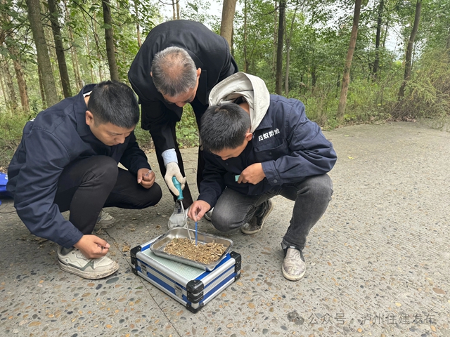 泸州白蚁调查新发现：种类增至21种，3种白蚁在四川首次发现