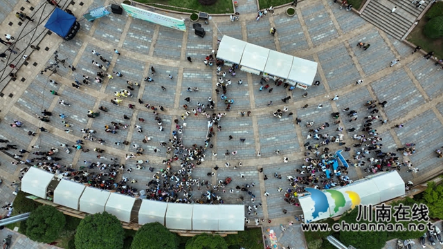 古蔺端午夜，中医药文化夜市“烟火气”升腾