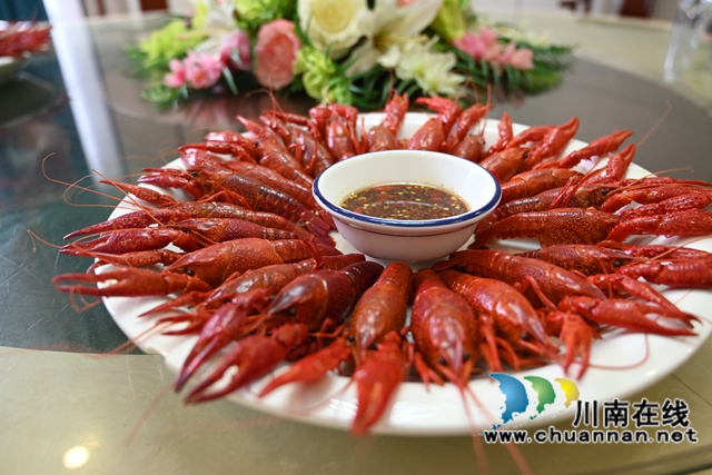 泸县:“水果小龙虾+大头虾”破解虾价低迷困境(图7) 做好的水果小龙虾(李腾摄).jpg