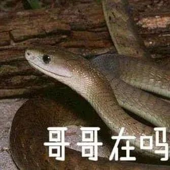 蛇出没请注意！泸州市人医储备有抗蛇毒血清，关键时刻能救命！