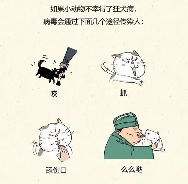 建议收藏！泸州市狂犬病暴露预防处置门诊信息汇总来了