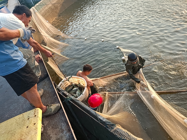 捕鲈鱼1（王静摄）.jpg
