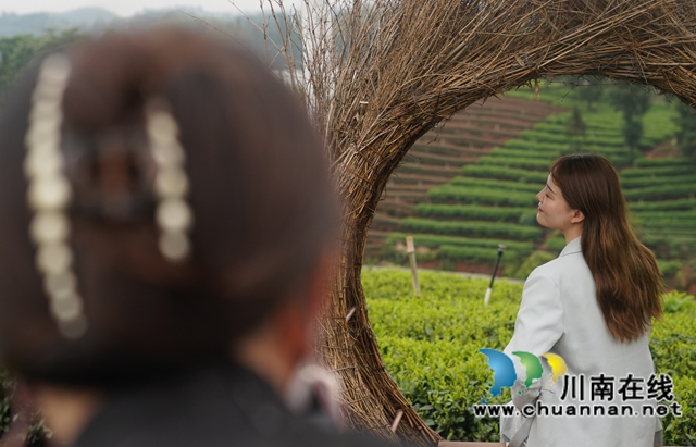 网络名人齐聚纳溪 全方位探寻“产业密码”