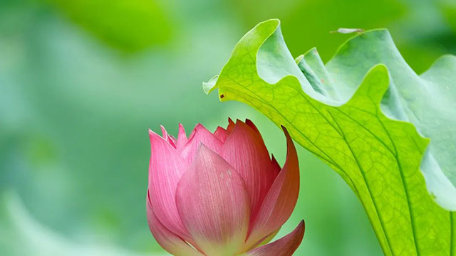 【围观】节约得很，有空调不开，这下遭得惨……