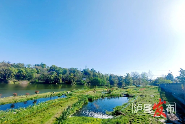 全国优秀案例！看泸县这条河如何逆袭
