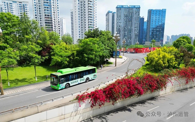 泸州九类群体可畅享公交免费或优惠福利